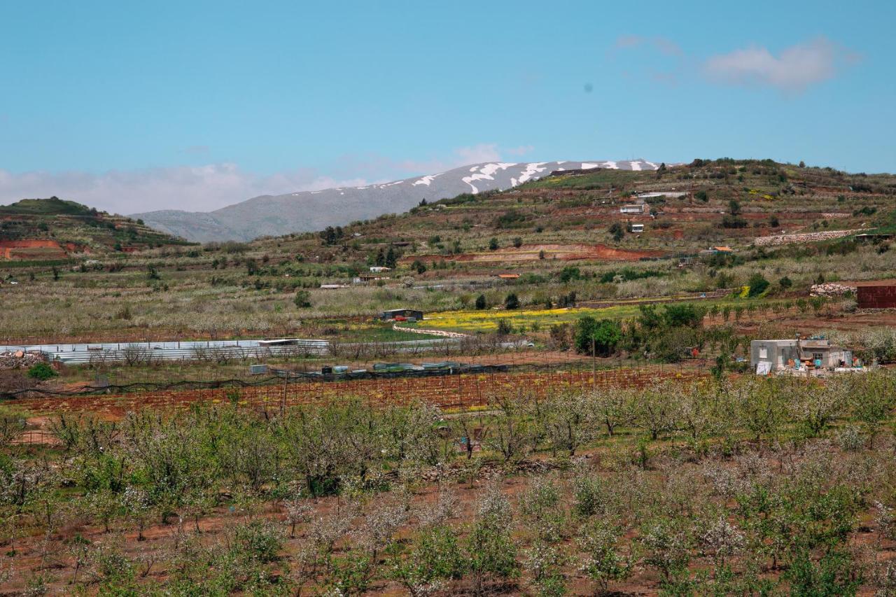 Grand Golan Villa Buq'ata Dış mekan fotoğraf
